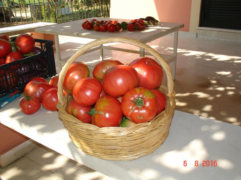 Villa Magia Ipsos Esterno foto