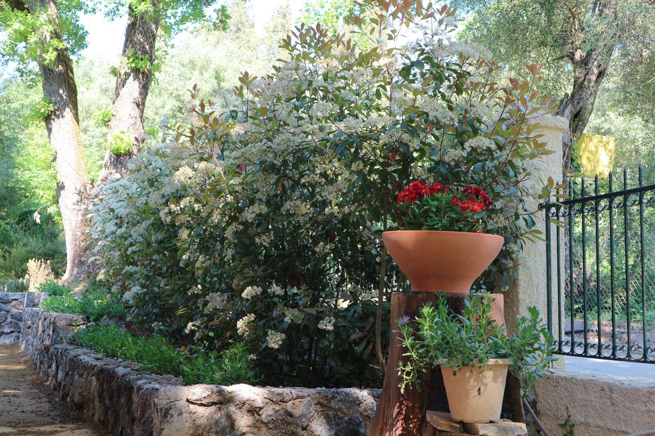 Villa Magia Ipsos Esterno foto